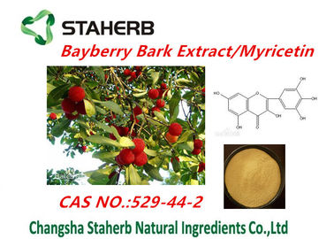 중국 건강 보충교재 myricetin 분말의 순수한 자연적인 식물 추출물 베이베리 나무 수피 추출물 협력 업체