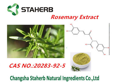 중국 90% Rosmarinic 화장품 CAS No.20283-92-5를 위한 산성 로즈메리 잎 추출물 협력 업체