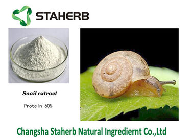 중국 단백질 60% 달팽이 추출물 자연적인 화장용 원료 백색 분말 협력 업체