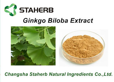 중국 항균 순수한 자연적인 식물 추출물/은행나무 Biloba 추출물 CAS 아니오 90045-36-6 협력 업체