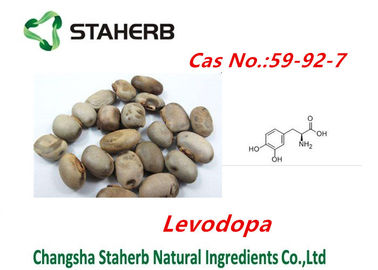 중국 집중한 식물 Mucuna pruriens는 Levodopa 분말 CAS no.59-92-7를 추출합니다 협력 업체