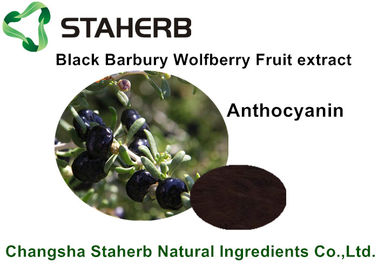중국 까만 바르바리 Wolfberry 과일 추출물, 음료를 위한 자연적인 음식 성분 협력 업체