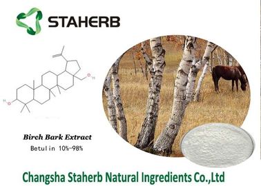 중국 벌치나무 껍질 추출물 유기 메이크업 성분, 자연적인 아름다움 성분 협력 업체