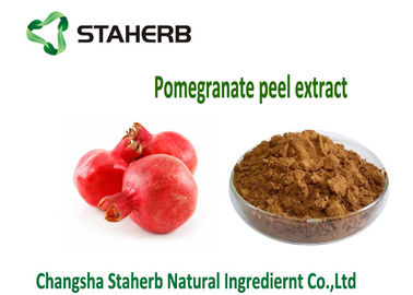 중국 석류 껍질에 의하여 집중되는 식물 추출물 반대로 돌연 변이 유도물과 반대로 암 재산 협력 업체