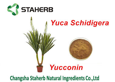 중국 유카 Schidigera 추출물 자연적인 급식 첨가물 Yocoin 유카 분말 협력 업체