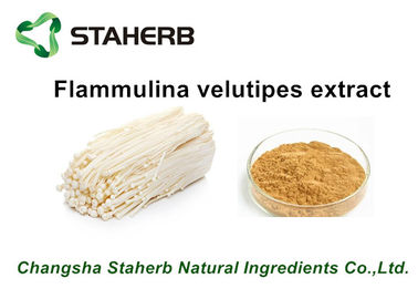 중국 힘 순수한 자연적인 식물 추출물, Flammulina Velutipes 추출물 다당류 10%-50% 협력 업체