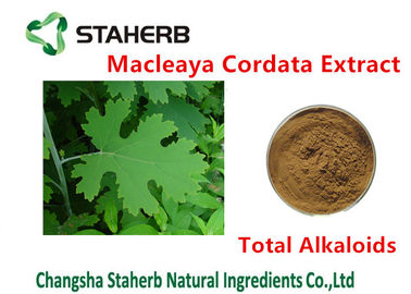 중국 항균 식물 Macleaya Cordata 추출물 합계 알카로이드 20%-60% 브라운 색깔 협력 업체