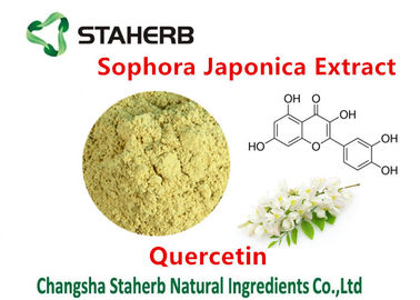 중국 식물 케르세틴 98%에서 화학물질을 추출하는 Sophora Japonica 추출물 협력 업체