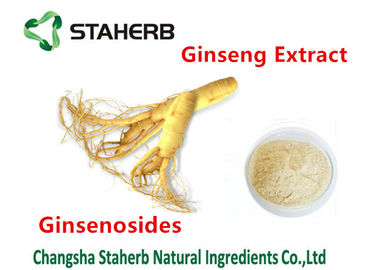 중국 순수한 자연적인 식물 인삼 추출물 Ginsenosides 30% 인삼 분말 음식 급료 협력 업체