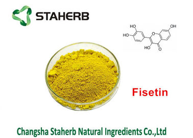 중국 Cotinus Coggygria 녹색 식물 추출물 Smoketree 추출물 Fisetin 50% - 95% 협력 업체