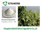 청결한 열 Chlorogenic 산성 추출물 Eucommia 잎 추출물 식물 추출물 협력 업체
