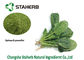 유기 시금치 잎 추출물 분말 비타민 K는 자연적인 음식 안료를 포함했습니다 협력 업체