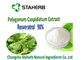 싱아 Cuspidatum 뿌리 녹색 식물 추출물 협력 업체