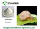 단백질 60% 달팽이 추출물 자연적인 화장용 원료 백색 분말 협력 업체
