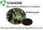 까만 바르바리 Wolfberry 과일 추출물, 음료를 위한 자연적인 음식 성분 협력 업체
