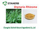 Drynaria 뿌리 줄기 추출물에 의하여 집중되는 식물 추출물 Rhizoma Drynariae 분말 협력 업체