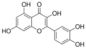식물 케르세틴 98%에서 화학물질을 추출하는 Sophora Japonica 추출물 협력 업체